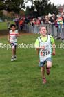 Boys under-11s Northern Cross Country Relays, Graves Park, Sheffield. Photo: David T. Hewitson/Sports for All Pics